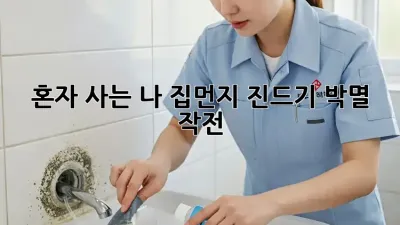 혼자 사는 나, 집먼지 진드기 박멸 작전!